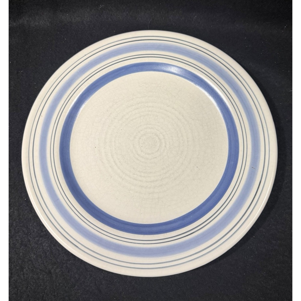 Pfaltzgraff Rio Hand Painted Dinner Plate 11"
